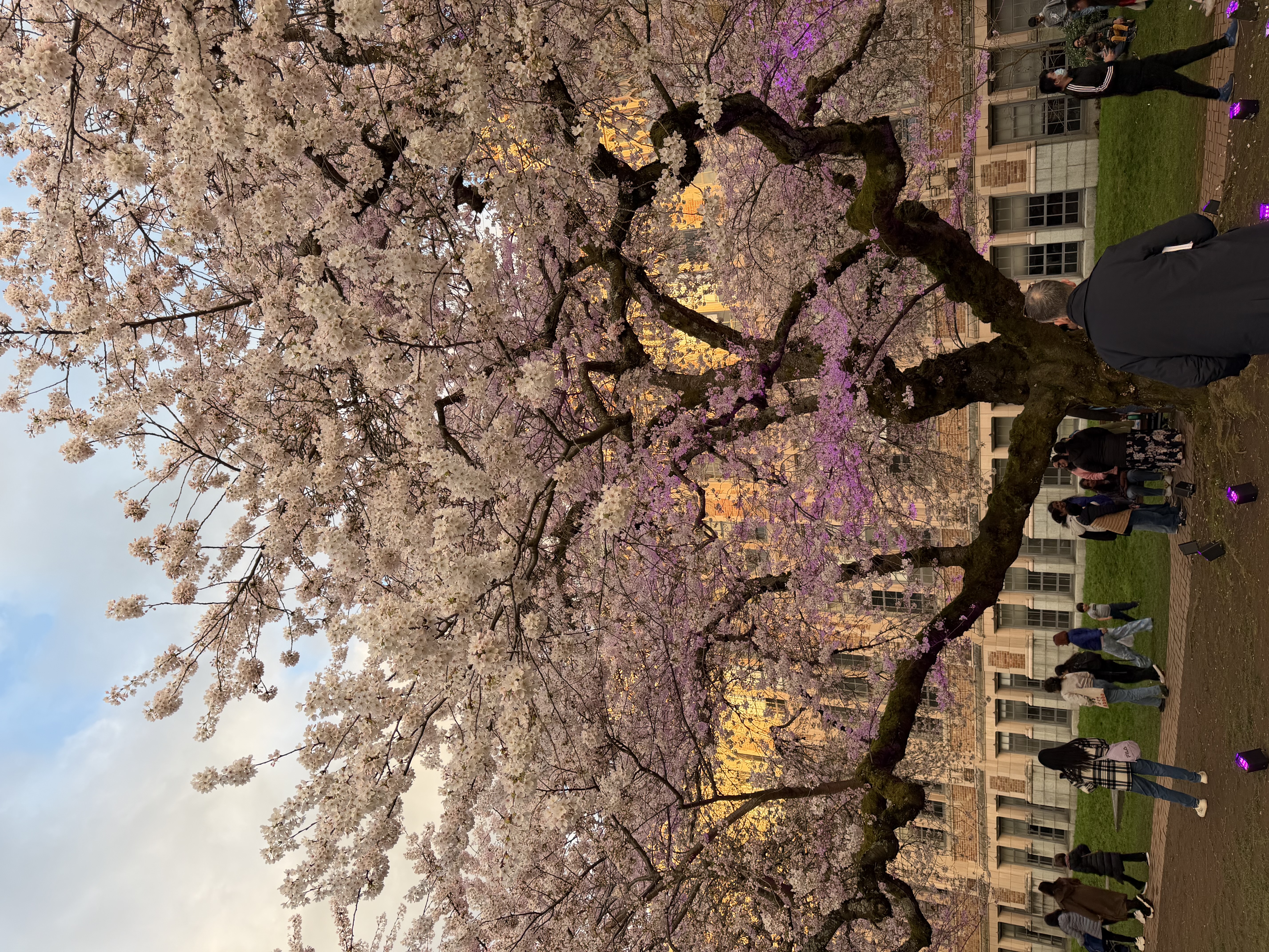 Personal photo — image 4