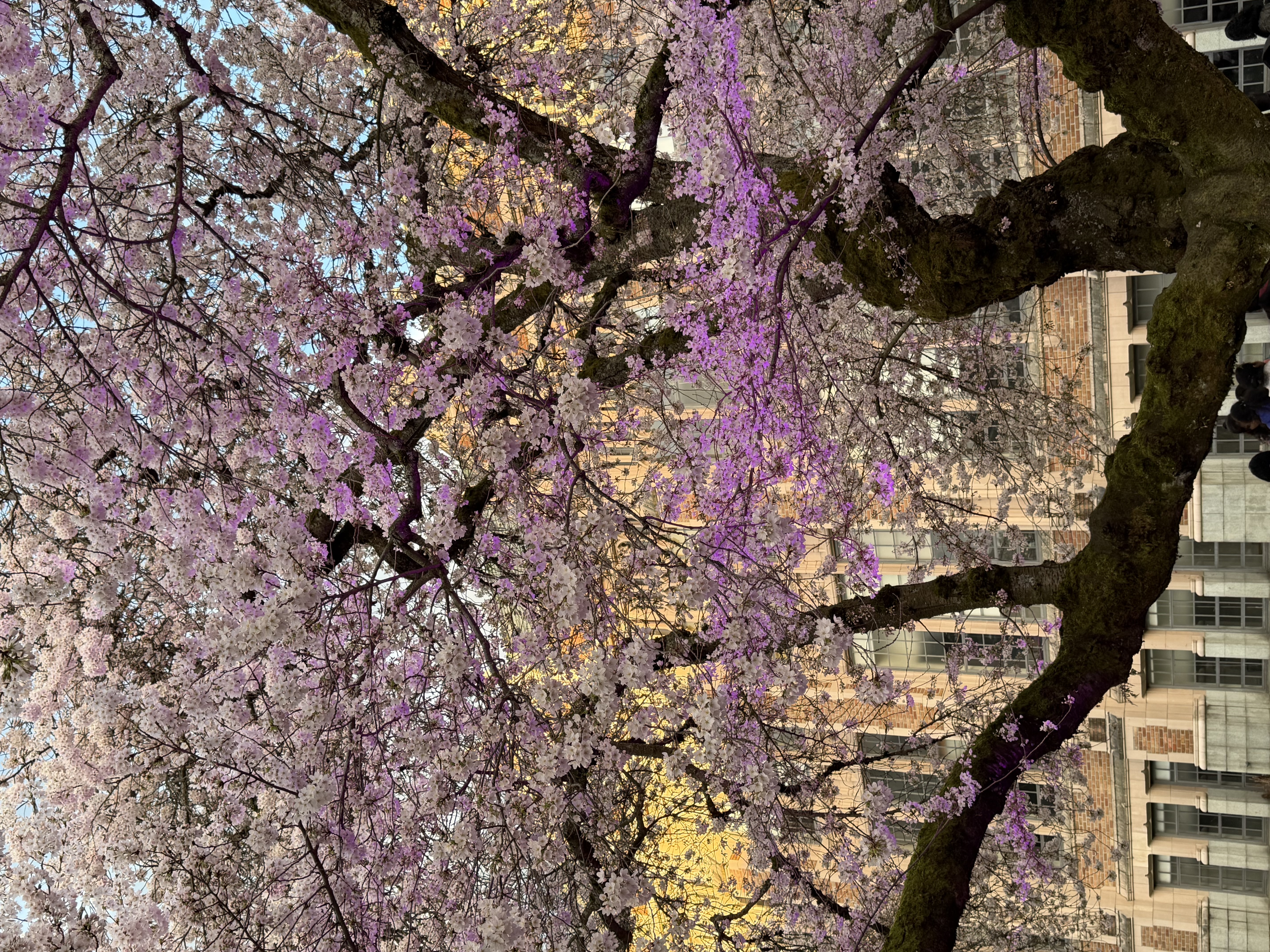 Personal photo — image 5